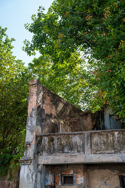 istock Old Abandoned Brick Wall Reclaimed by Nature 2226902816