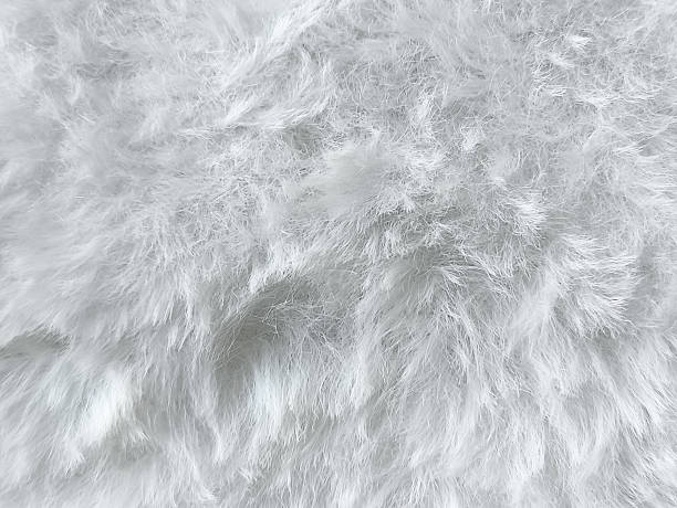 istock White fluffy fur close-up. Fluffy soft fabric. Space for the text. Background. 2226903490