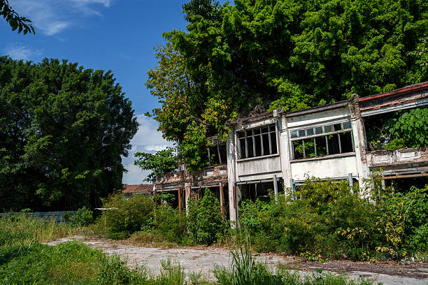 istock Abandoned Building Overtaken by Nature 2226903809