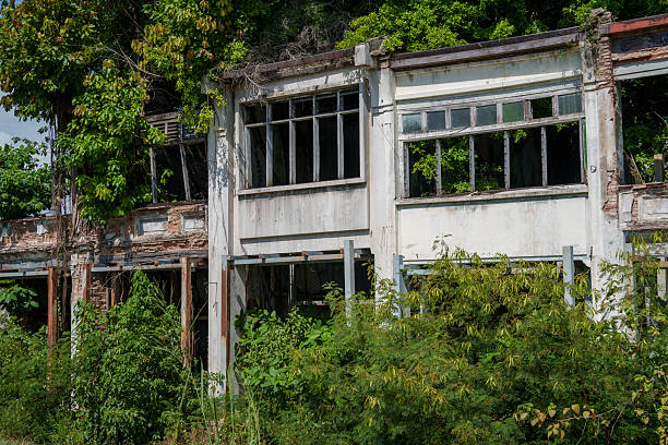 A decaying, roofless structure with crumbling walls being reclaimed by dense green foliage and trees growing through the open windows.