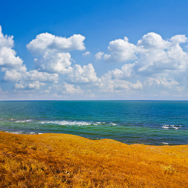 summer wide emerald sea under a blue clooudy sky