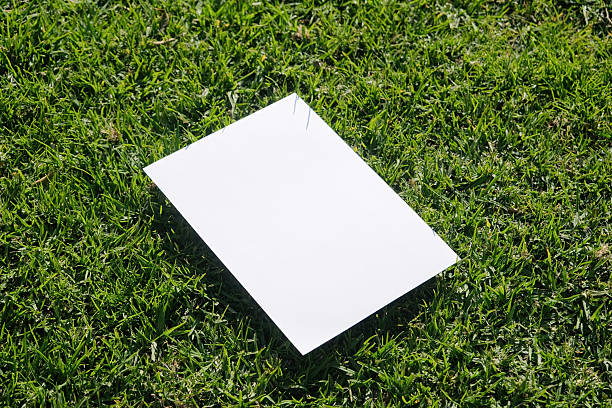 istock Mockup blank poster on green grass background 2226906871
