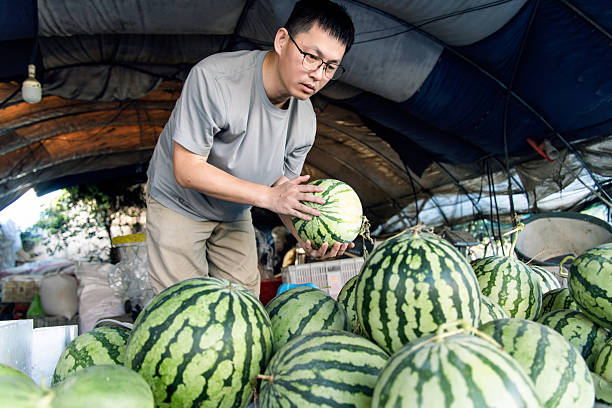 male owner of the fruit store