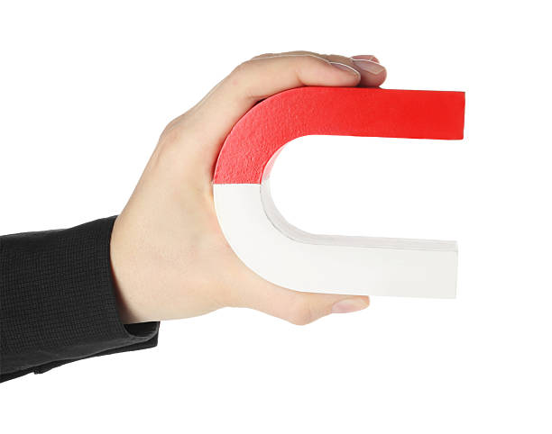 istock Woman with horseshoe magnet on white background, closeup 2226912841