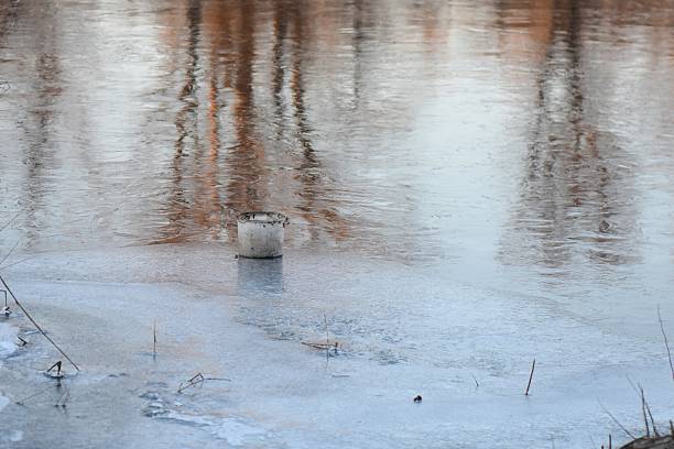 Frozen lake in the forest