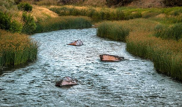 istock Serene river landscape with lush banks. 2226913325