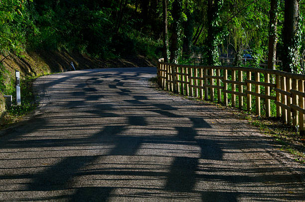 a fence casts a shadow on the road between the trees