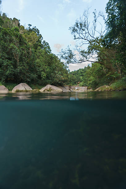 istock Pristine river water flowing through lush tropical forest 2226914108