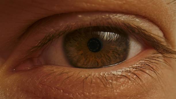 istock Macro shot of human brown eye with visible iris texture 2226918218
