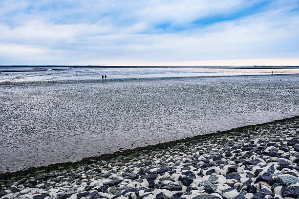 Norddeich,Germany. July 14, 2025. The modern promenade Das Deck in Norddeich at dusk, overlooking the tidal flats of the Wadden Sea during low tide. Serene coastal beauty meets quiet design