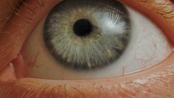 istock Macro shot of human blue eye with visible iris texture 2226919085