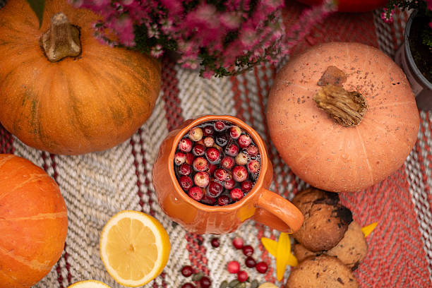 istock Autumn Picnic with Pumpkin Tea and Lemon 2226920514