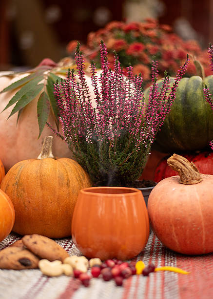 istock Autumn Picnic with Pumpkin Tea and Lemon 2226920515