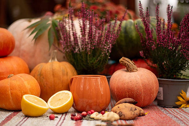 istock Autumn Picnic with Pumpkin Tea and Lemon 2226920808
