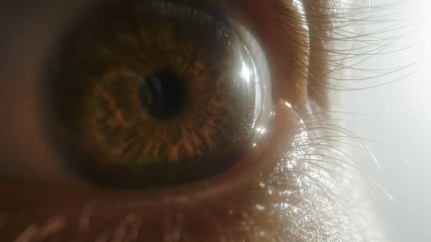 istock Human eye close up with dramatic side lighting and skin texture 2226921619