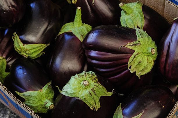 Box freshly picked, whole Black Beauty eggplants with green stems.