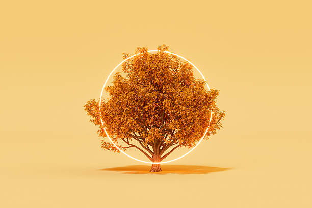 Autumn Background with Autumn Color Tree and Neon Lighting Frame. Digitally generated image. 3d render.