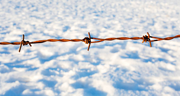 Barbed wire against a background of blue snow.