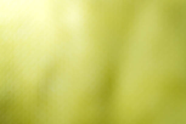 A smooth abstract yellow gradient background with soft lighting and subtle color transitions. Suitable for creative designs, presentations, and visual compositions.
