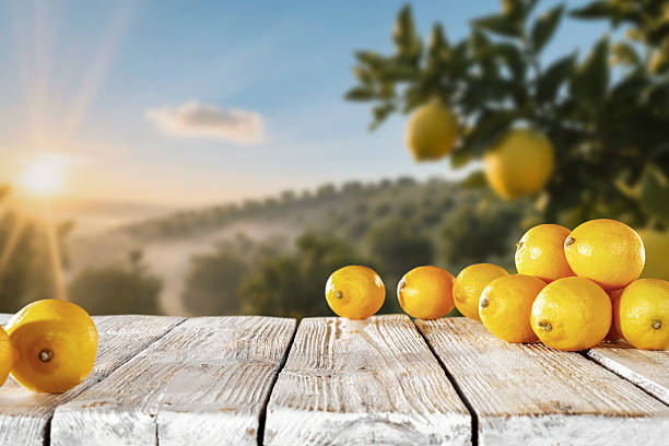istock Fresh yellow lemons on rustic wooden table with blurred citrus orchard in background – concept of organic farming and healthy food. Copy space for products. 2226942122