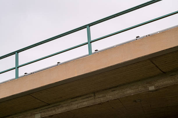 Concrete overpass with green metal railing seen from below against cloudy sky