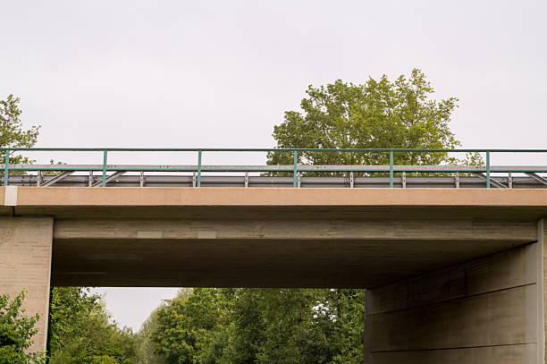 Concrete highway overpass with green metal railings passing over lush green trees