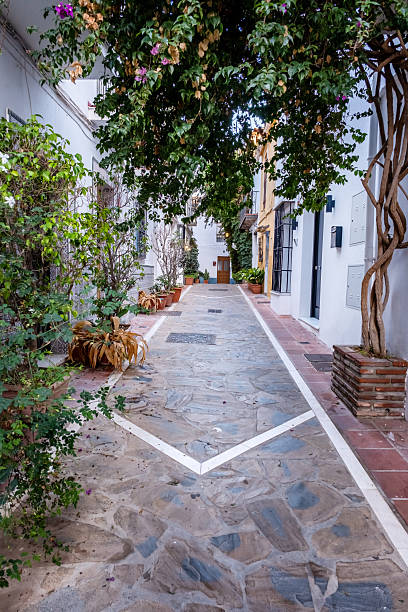 istock Marbella old town in Andalucia Spain 2226951885