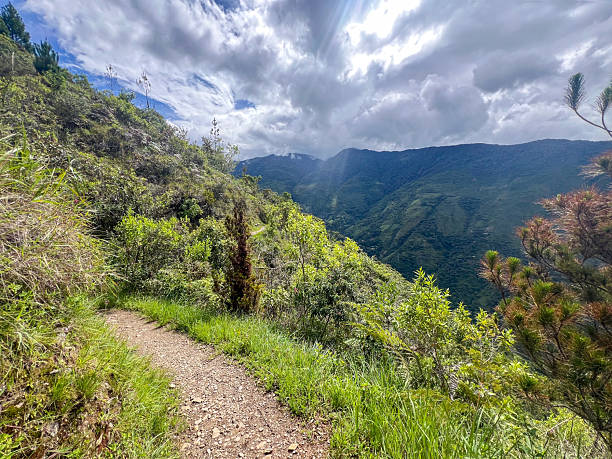 istock Mountain Hiking Trail with Lush Greenery 2226958495