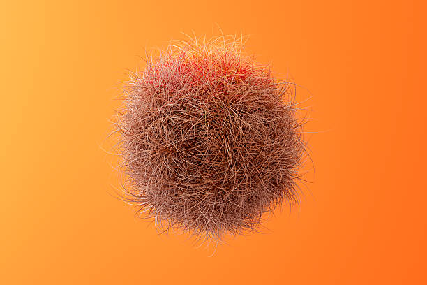Abstract Fluffy Hairy Ball with Autumn Colors. Digitally generated image. 3d render.