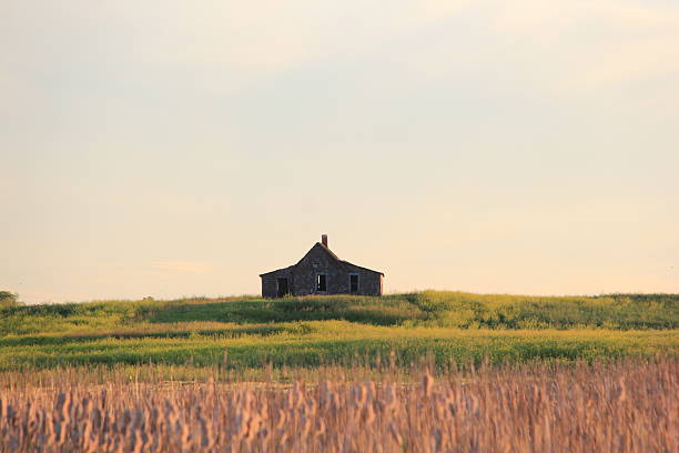 istock Markinch Saskatchewan Prairie Wildlife and Scenery 2226964138
