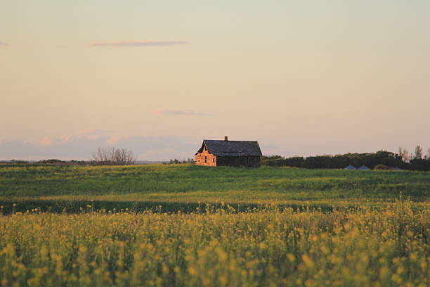 istock Markinch Saskatchewan Prairie Wildlife and Scenery 2226964156