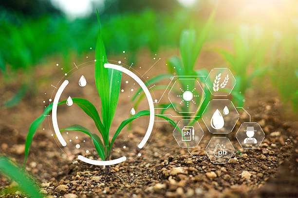 istock IOT smart farmer concept, Modern technology for sustainable practices, wiht intelligent AI digital farm to control planting. Precision agriculture, Climate monitoring, Farm management system. 2226965899