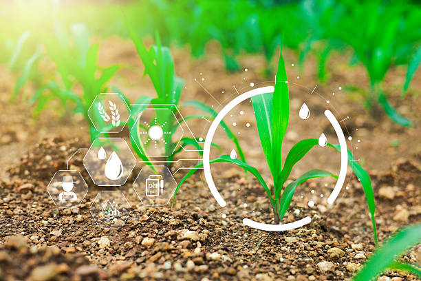istock IOT smart farmer concept, Modern technology for sustainable practices, wiht intelligent AI digital farm to control planting. Precision agriculture, Climate monitoring, Farm management system. 2226965980