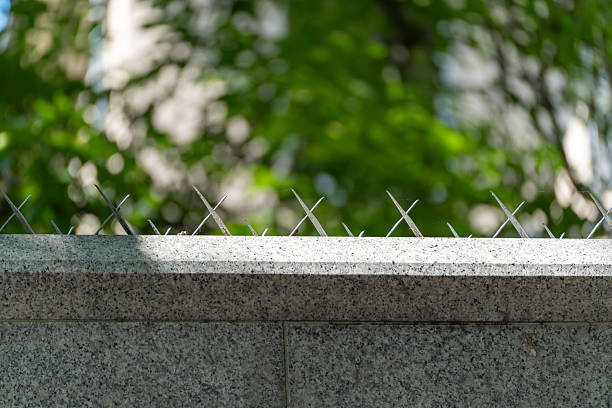 Metal spikes on a stone wall as a defensive measure.