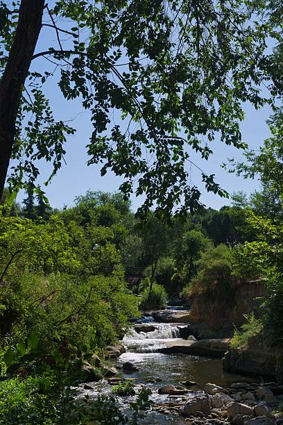 istock Tranquil river flowing through lush greenery under a clear blue sky in mid afternoon 2226988616
