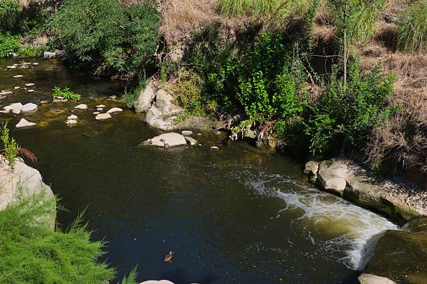 A calm river winds through vibrant green vegetation, with smooth rocks scattered along its banks. The sunlight illuminates the tranquil water, creating a serene environment.