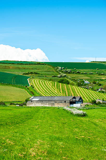 istock Green fields and barns dot the rolling hills of lulworth, dorset, england 2226989085