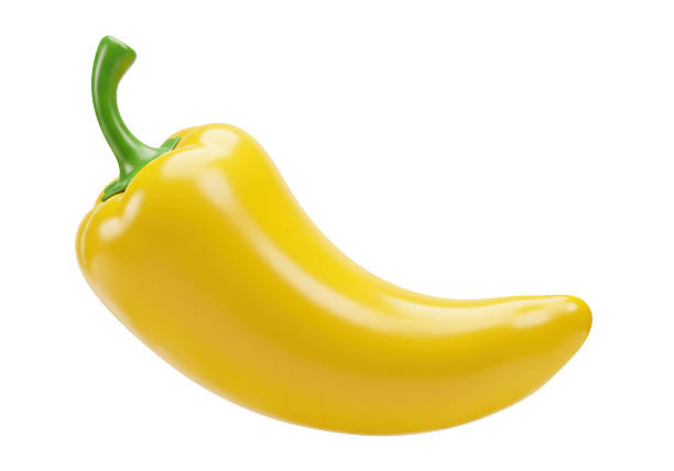Isolated Bright Yellow Chili Pepper Spicy Ingredient