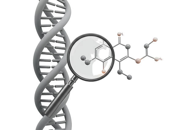 Isolated DNA Molecule Structure Examined with Magnifying Glass