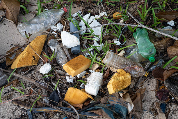 istock Plastic bottles, Styrofoam, and trash along the Amazon River, causing pollution and contaminating water and fish. Concept of environment, ecology, biodiversity, climate change, global warming. 2226995219