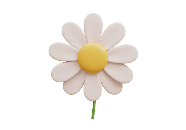 istock Isolated Single Daisy with Yellow Center 2226996972