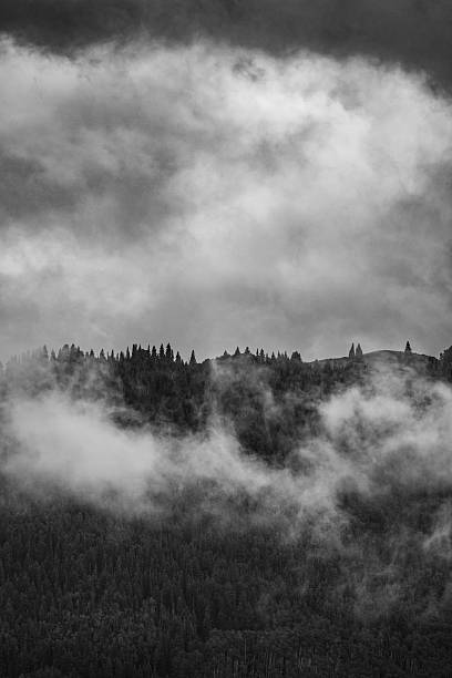 Foggy Sky Rolling Across Rugged Mountain Tops at Tree Line, Copy Space, Dark Sky, Black and White Image