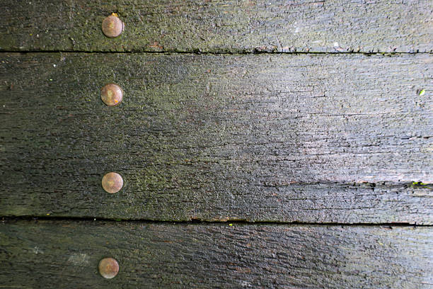 A rough wooden surface, covered with a layer of moss and moisture, creates a distinct texture. Old metal rivets add an element of industrial aesthetic and emphasize its age.