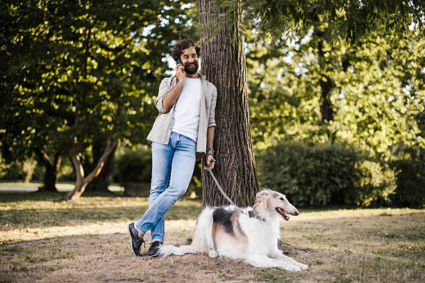 istock A stylish man is walking outside with his elegant Borzoi dog on a leash while checking or using his smartphone. 2227007327