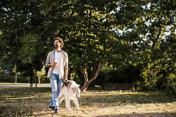 Man walking with Borzoi dog in park and drinking takeaway coffee