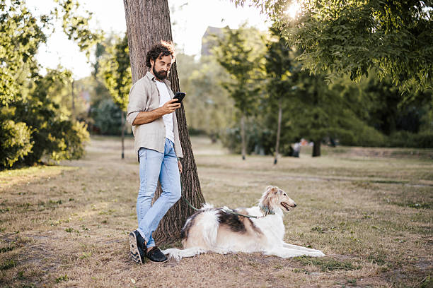 istock A stylish man is walking outside with his elegant Borzoi dog on a leash while checking or using his smartphone. 2227007510