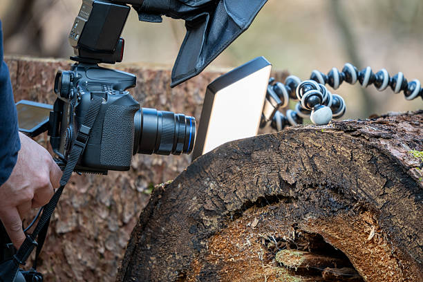 istock Hands-On Macro Photography: Photographer's Setup with Camera, Flash, and LED Light on Forest Log 2227008440
