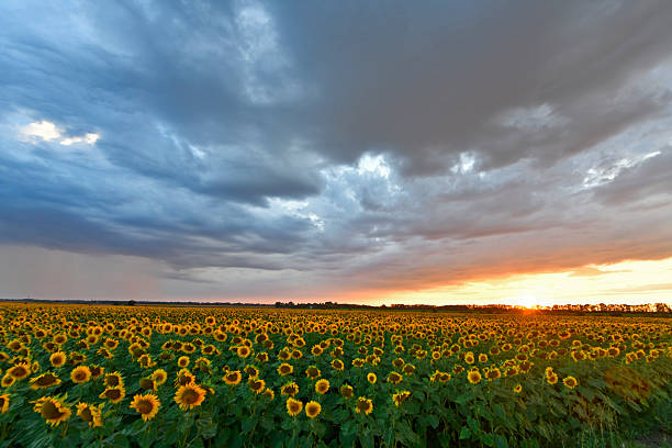 istock Beautiful summer landscape. 2227011917