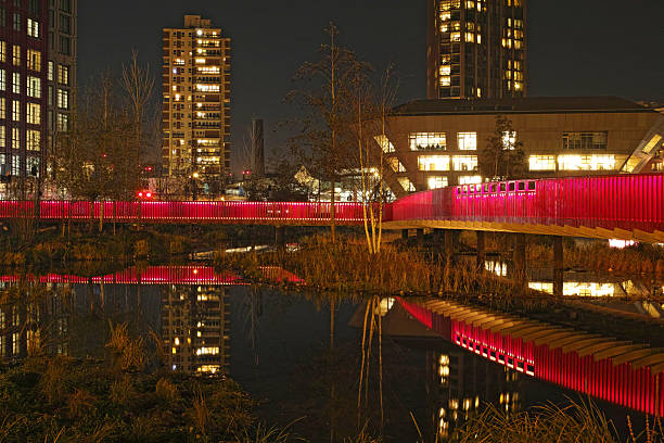 istock Rafter Walk in the Canada Water at night 2227012165
