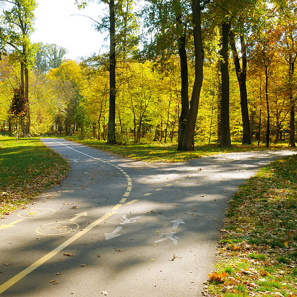 Bicycle path and a footpath with warning sign in autumn park.